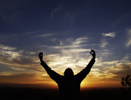 Transform your life by breaking harmful patterns