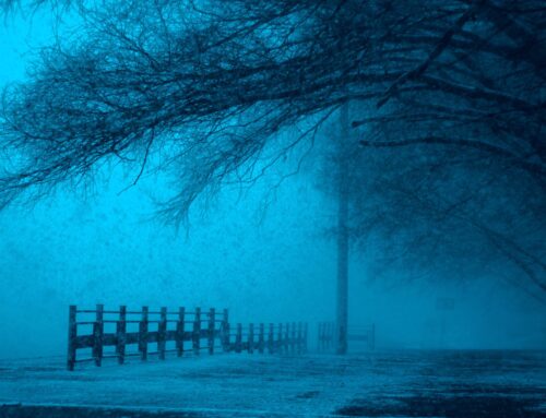 Our thoughts and actions can invite evil into our lives