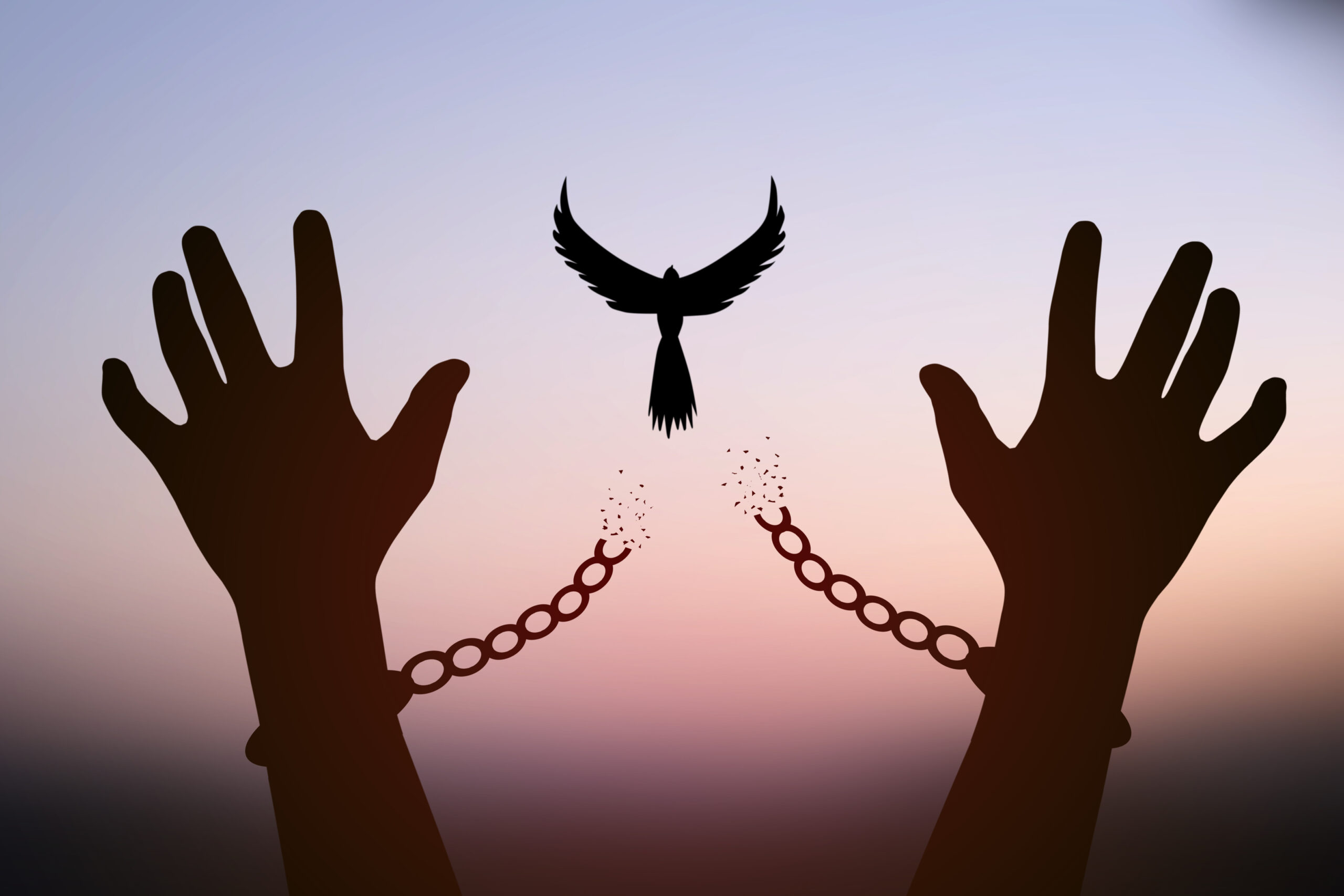 Freedom concept. The top dove leaves the broken chain from the prisoner's arm.