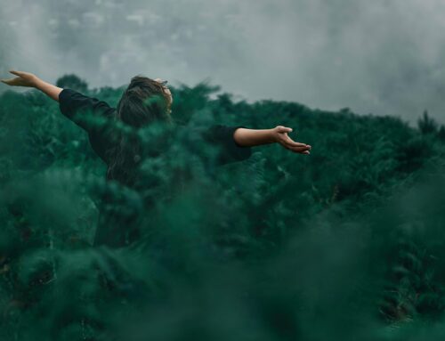Lose your limiting views to find who you are