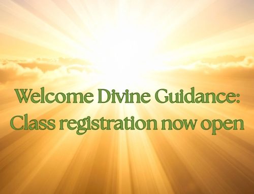 Divine Guidance: TMCC registration now open (2026)